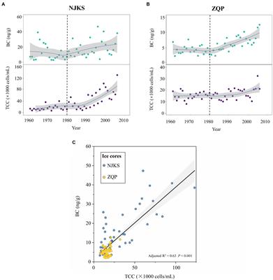 Variation of High and Low Nucleic Acid-Content Bacteria in Tibetan Ice Cores and Their Relationship to Black Carbon